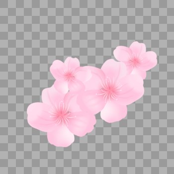 手绘一簇樱花图片素材免费下载
