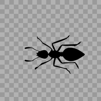 动物类卡通手绘风黑色蚂蚁图片素材免费下载