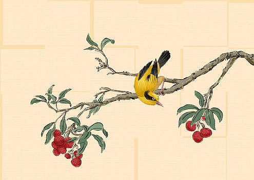 水墨的鸟果树图片素材免费下载