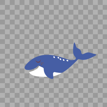 蓝皮鲨鱼图片素材免费下载