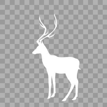 白色的鹿图片素材免费下载