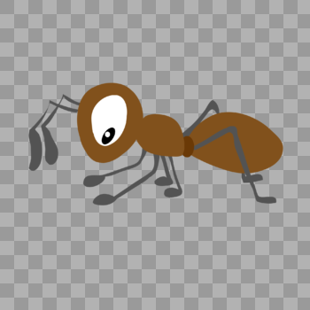 褐色蚂蚁图片素材免费下载