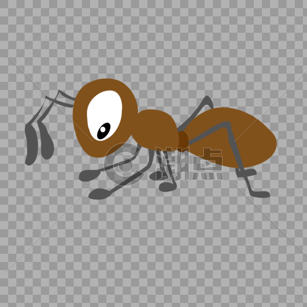 褐色蚂蚁图片素材免费下载