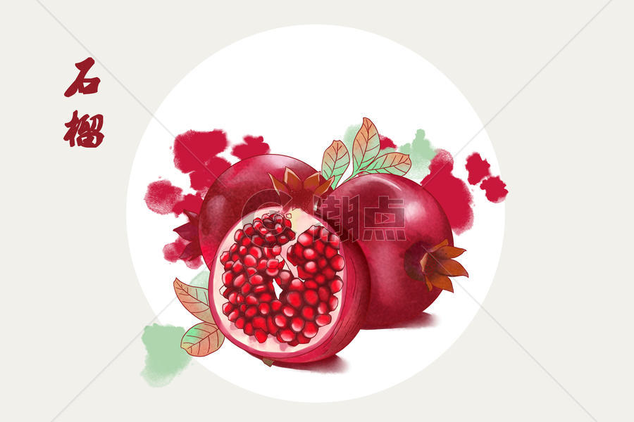 水果石榴插画图片素材免费下载