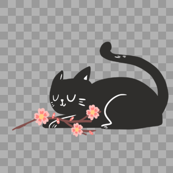 猫和樱花图片素材免费下载