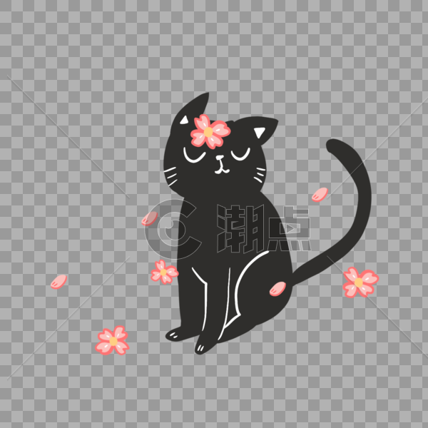 猫与樱花花瓣图片素材免费下载
