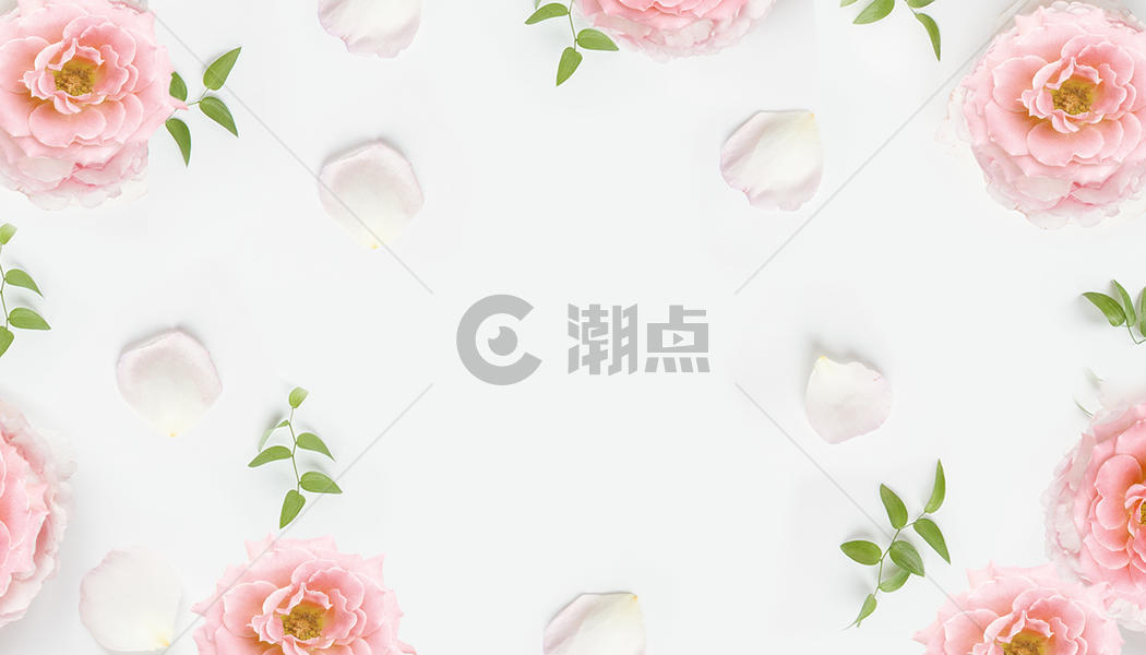 简洁花朵壁纸图片素材免费下载