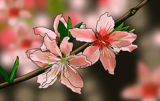 春天盛开的桃花图片素材免费下载