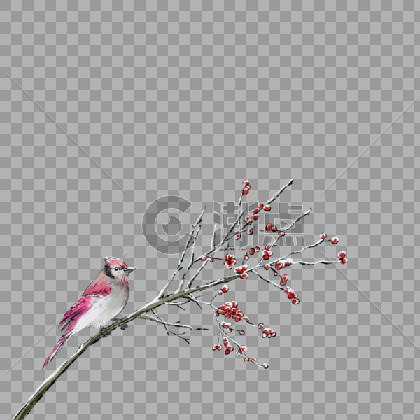 花枝上的小鸟图片素材免费下载
