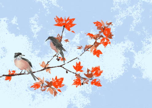 枫树上的鸟图片素材免费下载
