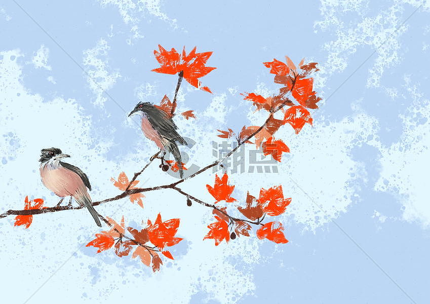 枫树上的鸟图片素材免费下载