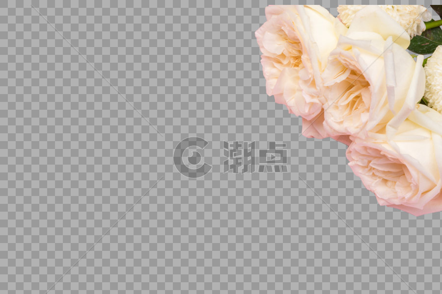 玫瑰花边角装饰图片素材免费下载