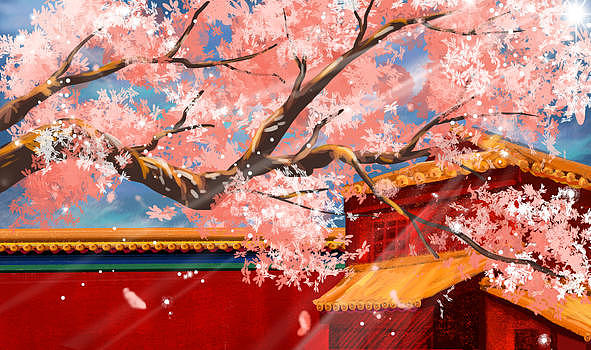 樱花季节图片素材免费下载