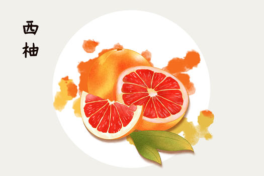 水果西柚插画图片素材免费下载
