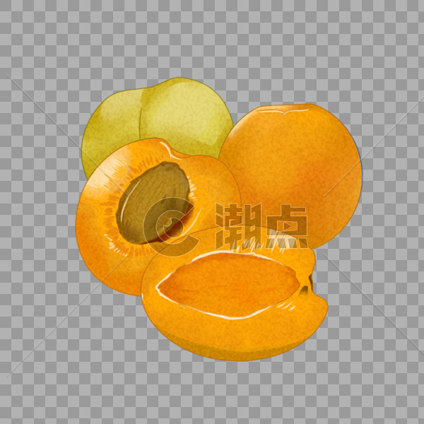 水果杏子图片素材免费下载