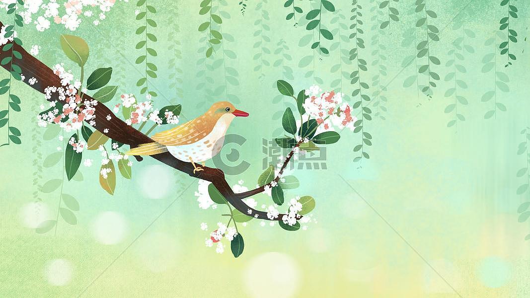 绿色小清新小鸟站在树枝上春天插画图片素材免费下载
