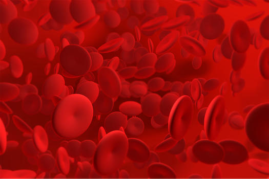 微观血细胞图片素材免费下载