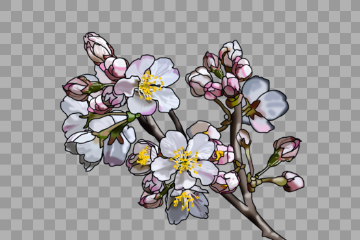 美丽盛开的樱花图片素材免费下载