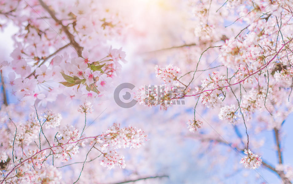 春天风景图片素材免费下载