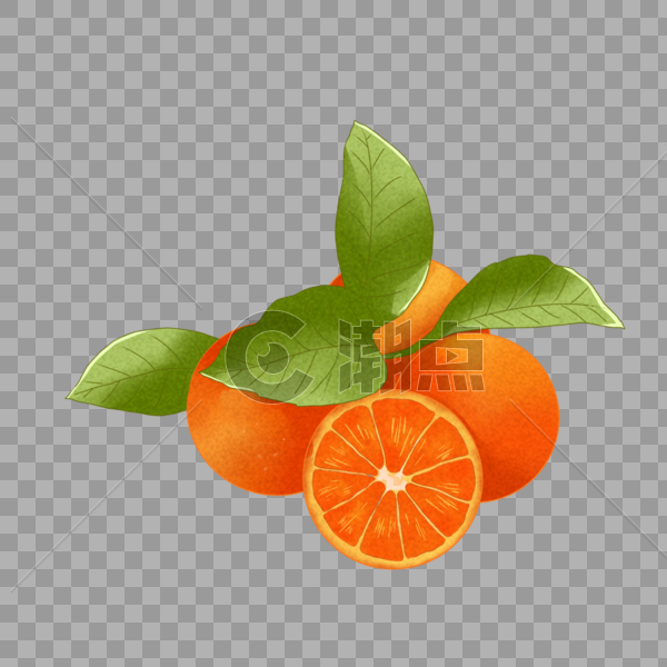 水果橙子图片素材免费下载