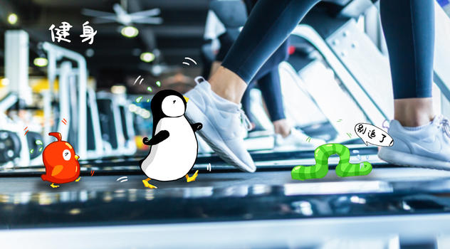 企鹅也爱健身图片素材免费下载