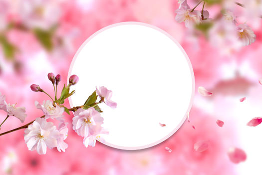 春天盛开的花朵图片素材免费下载
