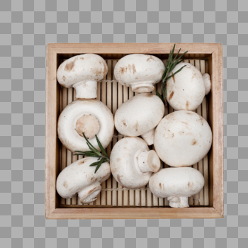 一盒蘑菇图片素材免费下载