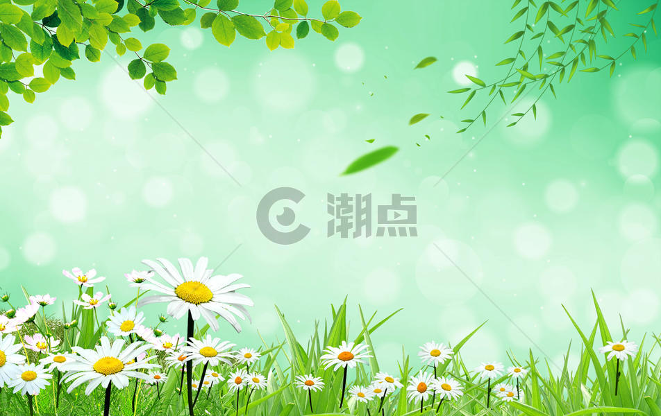 清新春天风景图片素材免费下载