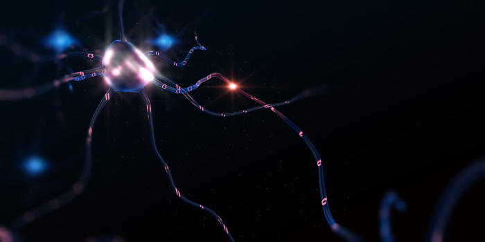 神经元细胞图片素材免费下载