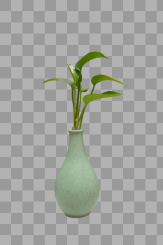 花瓶里的植物图片素材免费下载