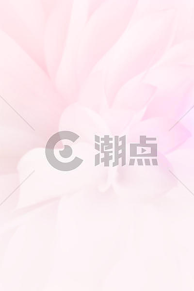 粉色花朵背景图片素材免费下载