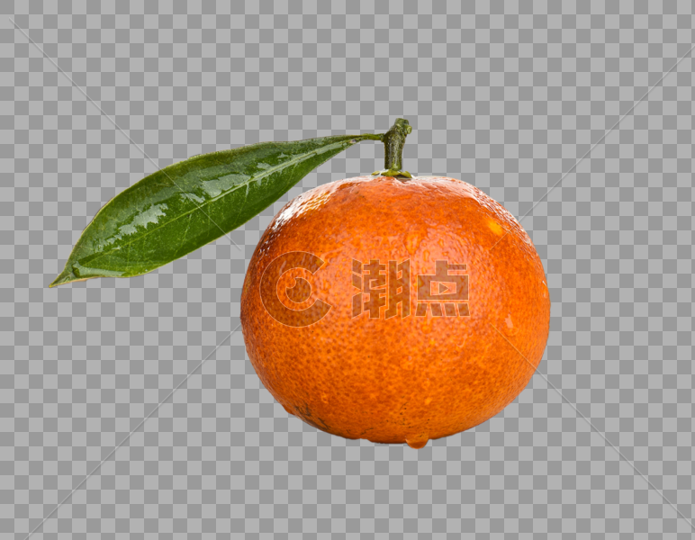 一个橙子图片素材免费下载