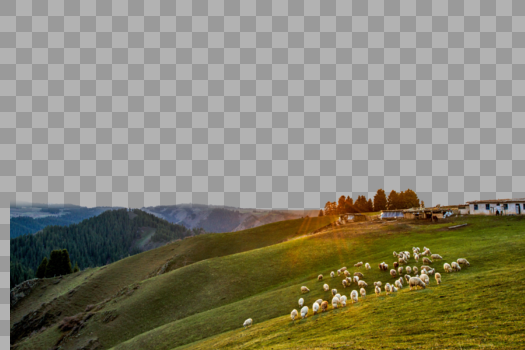 山丘羊群图片素材免费下载