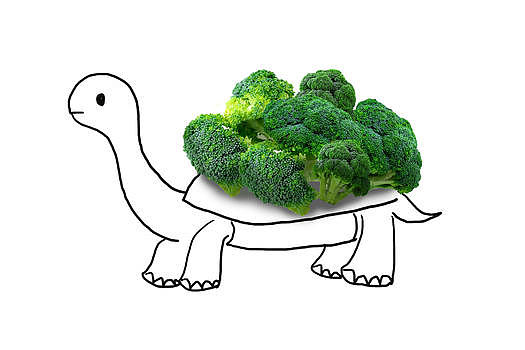 趣味蔬菜乌龟图片素材免费下载