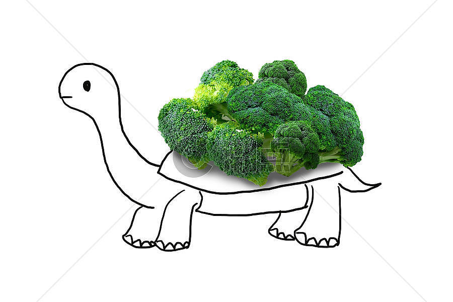 趣味蔬菜乌龟图片素材免费下载