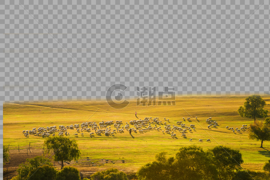 草原上的羊群图片素材免费下载