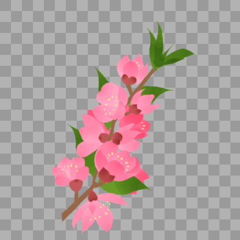 一枝粉色海棠花春天花卉图片素材免费下载