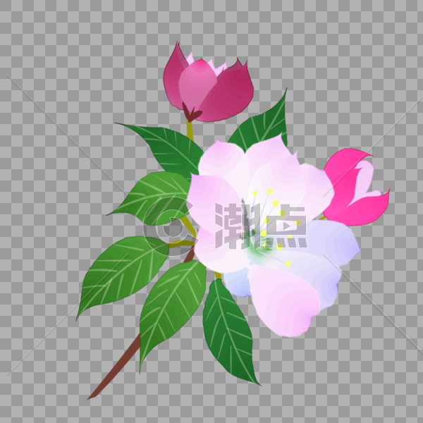一朵粉色清新海棠花图片素材免费下载