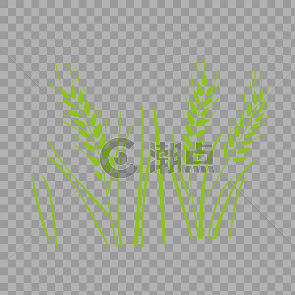 小麦五谷杂粮图片素材免费下载