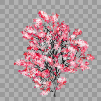 红色樱花树图片素材免费下载