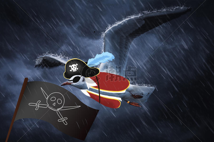 海盗海鸥宠物创意摄影插画图片素材免费下载
