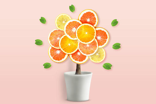 创意橙子树图片素材免费下载