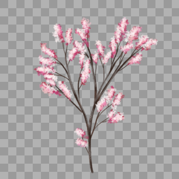 樱花花树图片素材免费下载