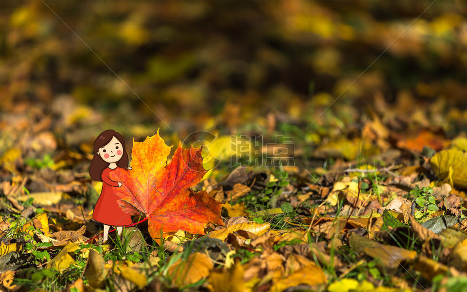 捡树叶的女孩图片素材免费下载