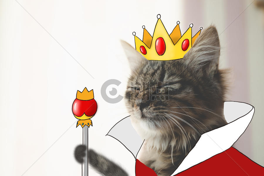 猫国王拟人化摄影插画图片素材免费下载