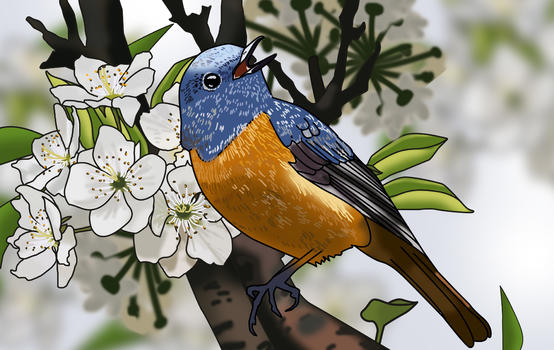 国风之花儿与鸟图片素材免费下载