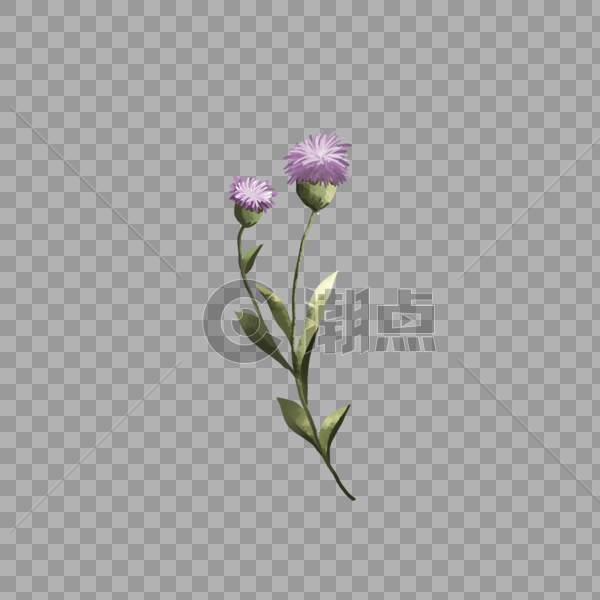 水彩紫色花植物背景纹理图片素材免费下载