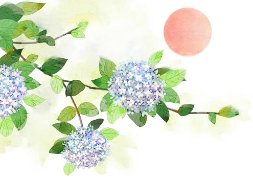 绣球花水彩花卉图片素材免费下载