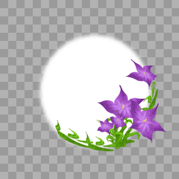 紫色植物边框图片素材免费下载