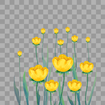 春天黄色透明背景花朵图片素材免费下载